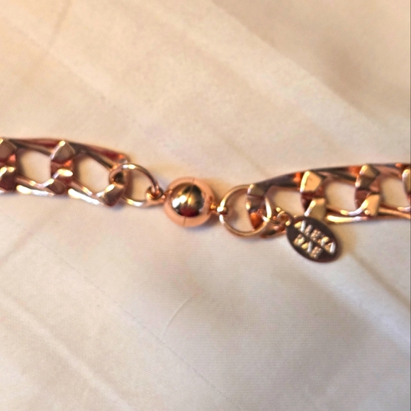 By Alexa Rae NWT The Matrix Necklace in Rose Gold - Picture 9 of 11